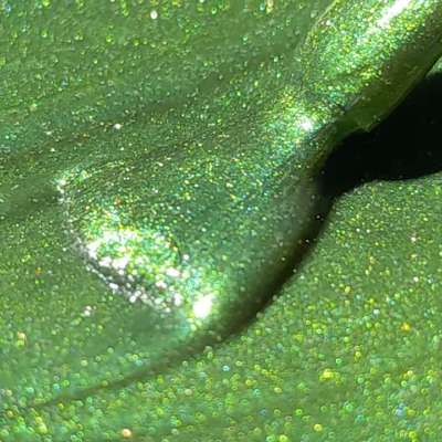 Close-up of green glittery ACOS Diamond Cat Eye Gel